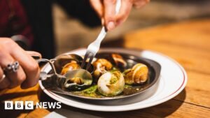 90 000 euró értékű escargot-csigát loptak el a francia farmról