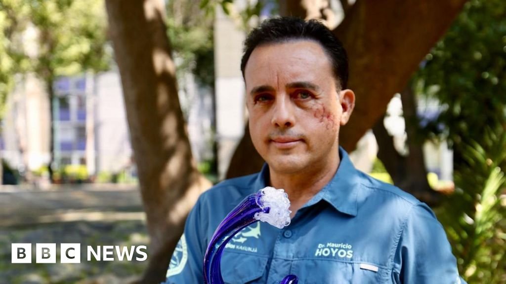 A biológus leharapja a cápa fejét abban a reményben, hogy