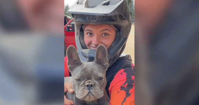 Ausztrália azt állítja, hogy egy dingó körözött Kr.e. tinit talált,