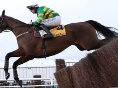 Cheltenham: Jimmy Mangan Spillane Towerje visszatér a Cotswold Chase győzelméhez | versenyhírek| mobilit.hu