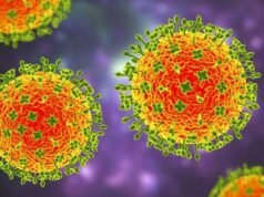 Mi az a Nipah vírus? Mit kell tudni erről a betegségről, mivel India szembesül a járvány kitörésével – Nemzeti| mobilit.hu