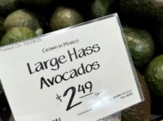 A globális vezetők és vállalkozások reagálnak az Egyesült Államokban tapasztalható több tarifaingadozásra| mobilit.hu