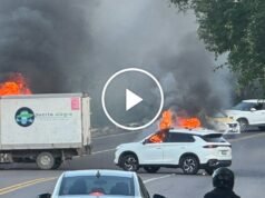 A mexikói káosz közepette a hamis fotók félelmet keltenek| mobilit.hu