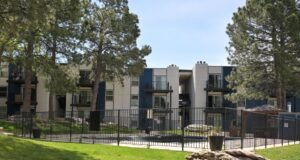 A per azt állítja, hogy a denveri Raven lakásokat hőhiány és csótányok sújtják| mobilit.hu