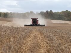 Az Egyesült Államok állami vámszámlája eléri a 200 milliárd dollárt| mobilit.hu