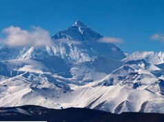 Az Everest nem mindig volt hegy! Ezek a 200 millió éves tengeri kövületek bizonyítják, hogy a Himalája valaha víz alatt volt. világhírek| mobilit.hu