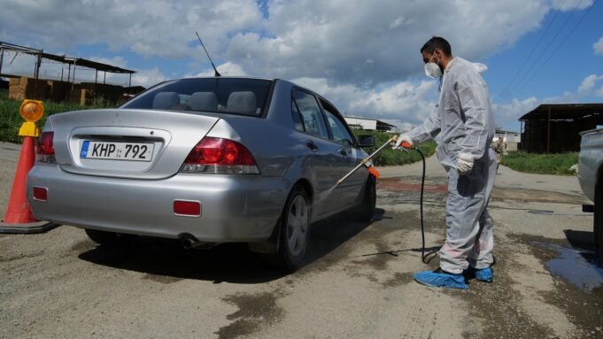 Ciprus tömeges állatállomány elleni vakcinázást tervez a ragadós száj- és