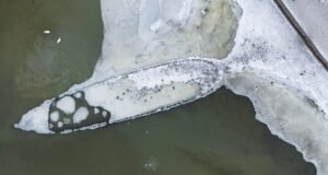 Haditengerészeti hajóroncs került a felszínre Svédországban, miután 400 évig víz alá temették| mobilit.hu