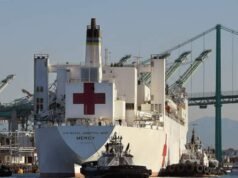 „Nem, köszönöm”: Grönland elutasítja Trump kórházhajó ajánlatát – National| mobilit.hu