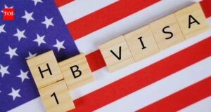 „Túllépés Indiában”: A Redditor szerint Abu Dhabiban törölték a H-1B vízumot| mobilit.hu