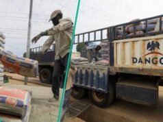 A Dangote, a BUA és más cementek zsákonként N10,00 fölé emelkednek, ahogy a kereskedők új árakat mutatnak be| mobilit.hu