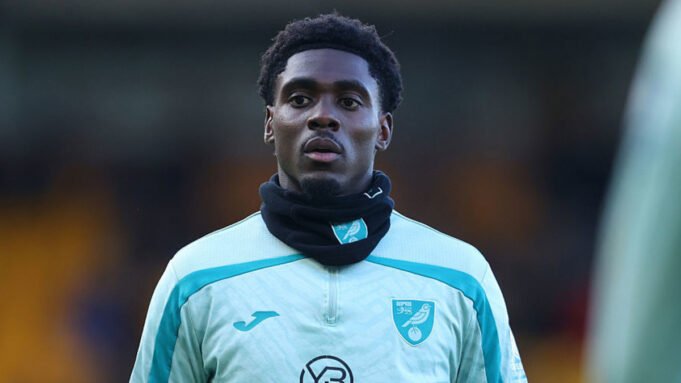 A Socceroos támadója, Mohamed Toure lágyéksérülést szenvedett, miközben a Norwich