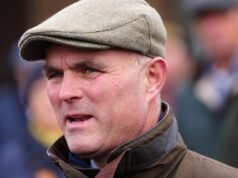 Bűnösnek találták Evan Williams kiképzőt, aki súlyos testi sértés szándékával bántalmazott egy kutyasétáltatót. versenyhírek| mobilit.hu