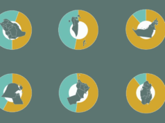 Honnan származik az ÖET-ben élő 35 millió külföldi? | infografikus hírek| mobilit.hu