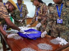 Két embert, akit több száz hangyával találtak meg, illegális vadon élő állatok kereskedelmével vádoltak Kenyában| mobilit.hu