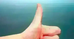 Öt cég nyert ezen a héten| mobilit.hu