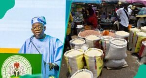 Tinubu szerint Nigéria gazdasága javulóban van, és azt állítja, hogy az államoknak nem kell többé hitelt felvenniük a fizetések kifizetéséhez| mobilit.hu