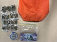 Zsák tele kannabisszal és készpénzzel az adományozási területen az új-zélandi jótékonysági boltban, a world News| mobilit.hu